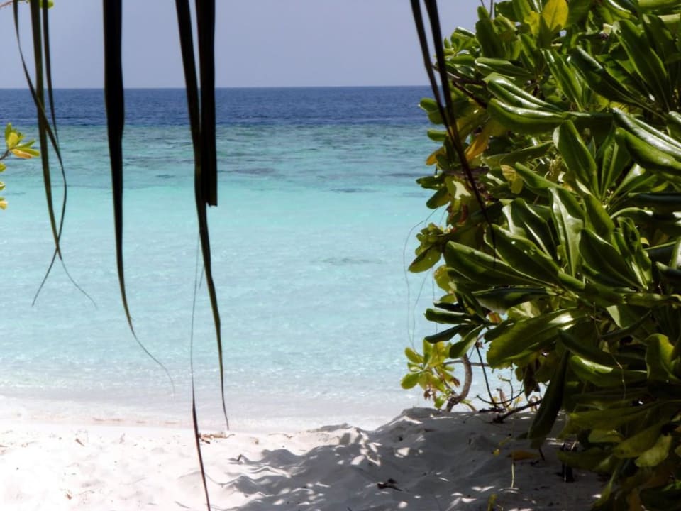 Herrlich! Adaaran Select Meedhupparu Island Resort - Premium All Inclusive