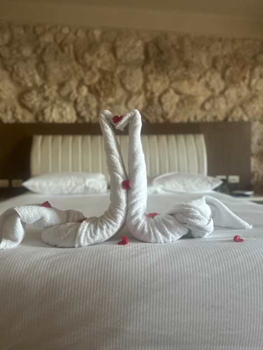 Sonstiges Pickalbatros Citadel Resort