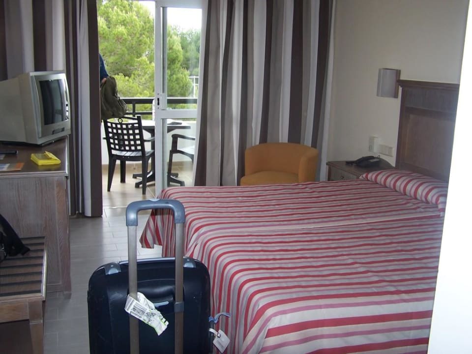 Zimmer 239 Hotel Beach Club Font de Sa Cala