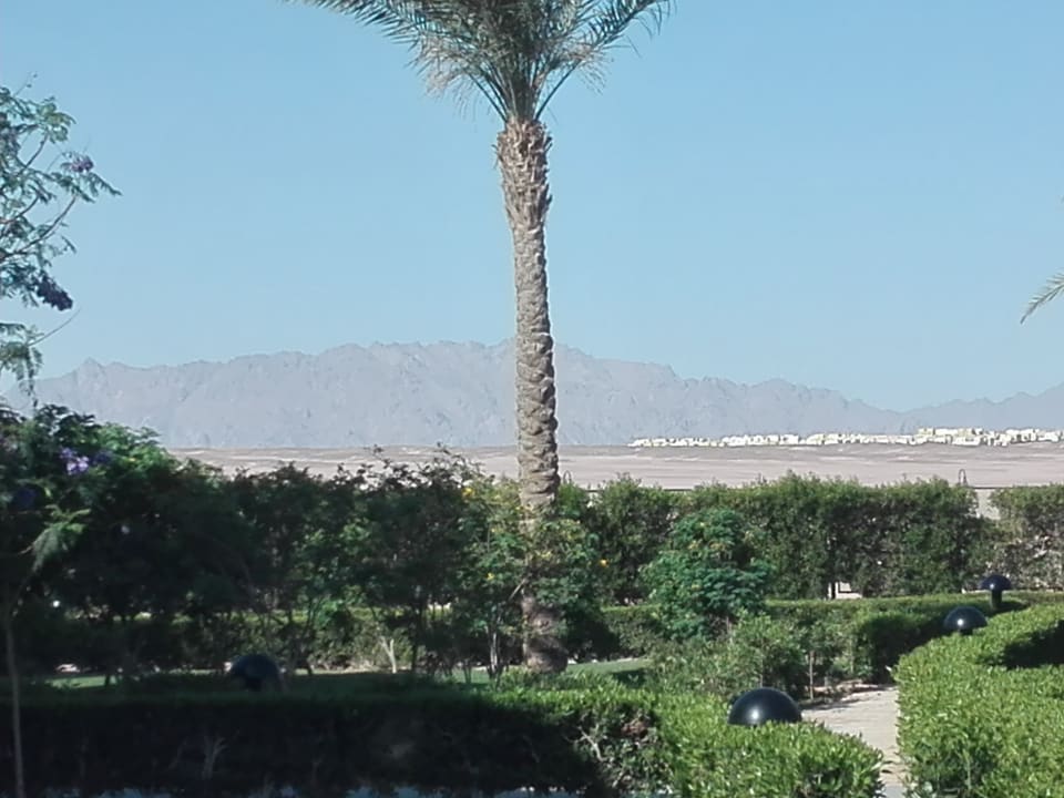 Gartenanlage Lemon & Soul Makadi Garden