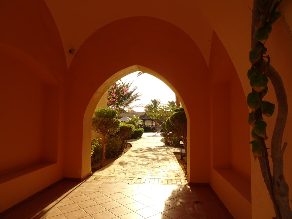 Gartenanlage Steigenberger Coraya Beach - Adults only