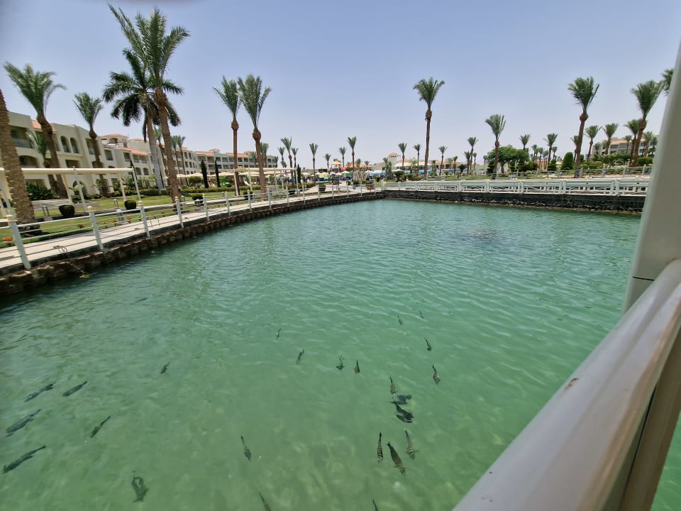 Gartenanlage Pickalbatros Dana Beach Resort - Hurghada