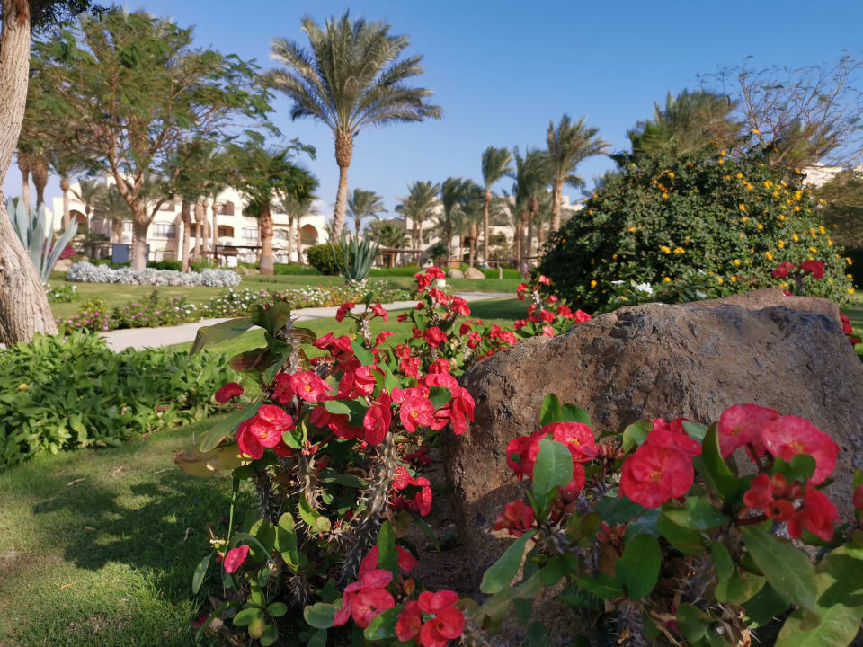 Außenansicht JAZ Neo Saraya Palms