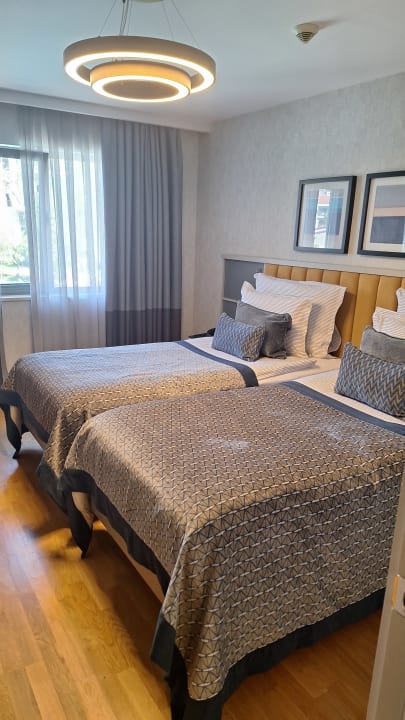 Zimmer Arum Barut Collection