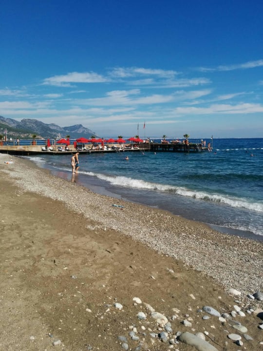 Steg mit Liegen Balmy Foresta