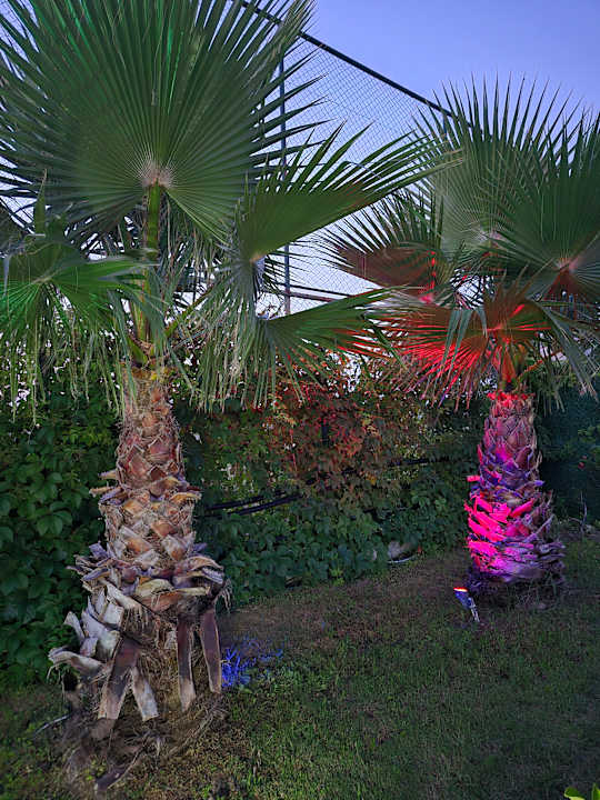 Gartenanlage Dream Water World