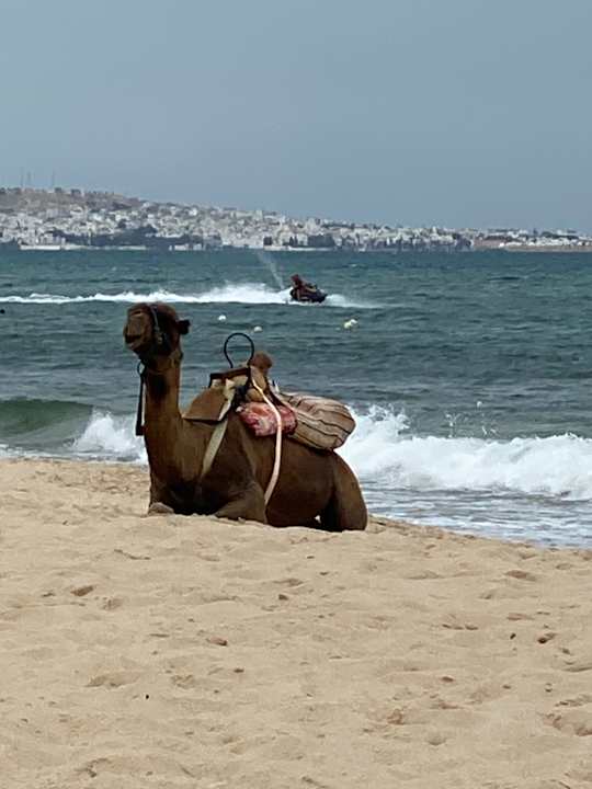 Strand Sentido Marillia Resort & Spa