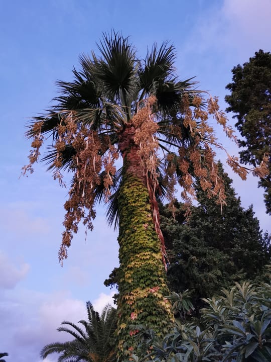Gartenanlage Aldiana Club Rocca Nettuno Calabria