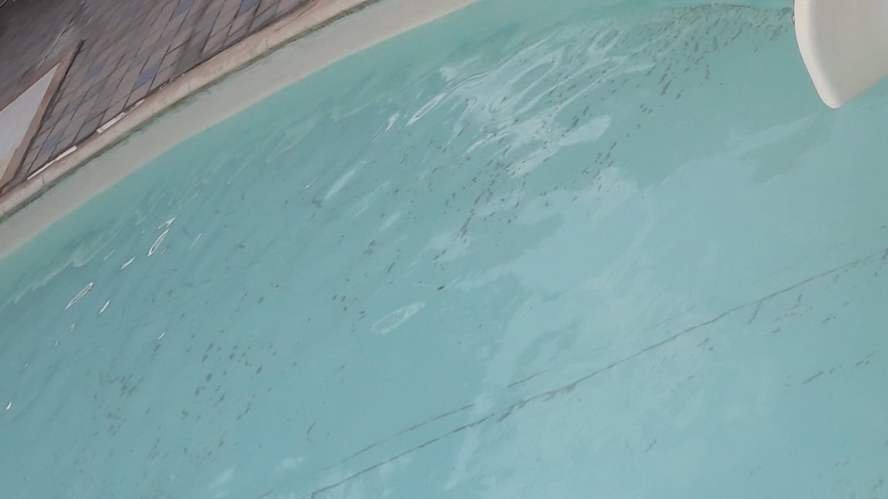 Pool Sentido Caribbean World Soma Bay