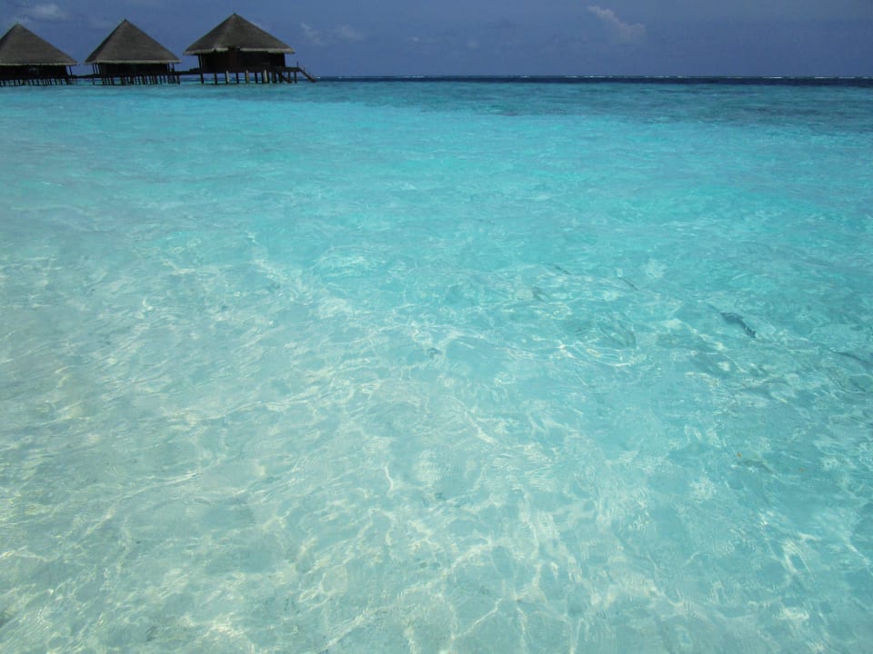 Klares Wasser bei Ebbe  Adaaran Club Rannalhi - All Inclusive
