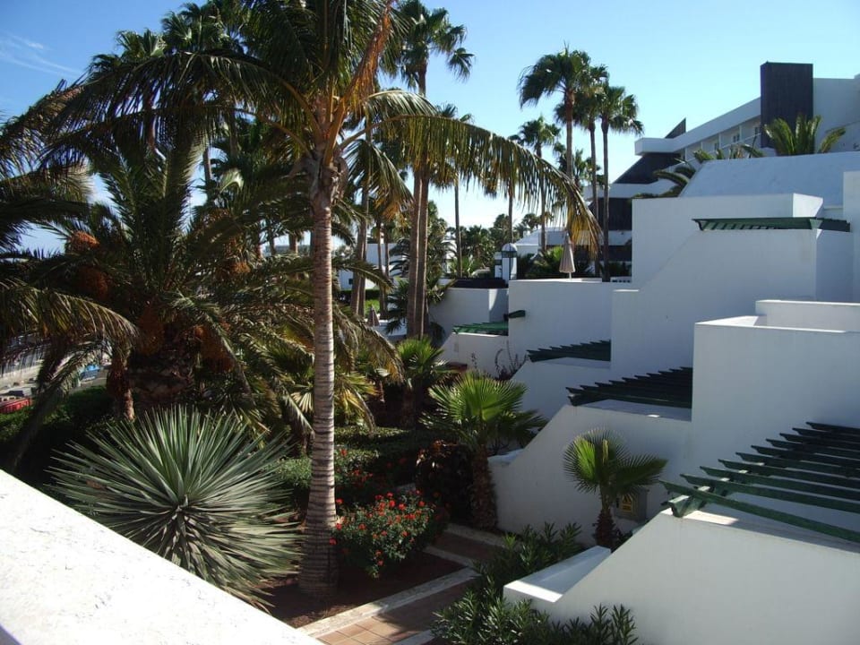Gartenanlage vom Appartment aus gesehen Hotel Riu Paraiso Lanzarote