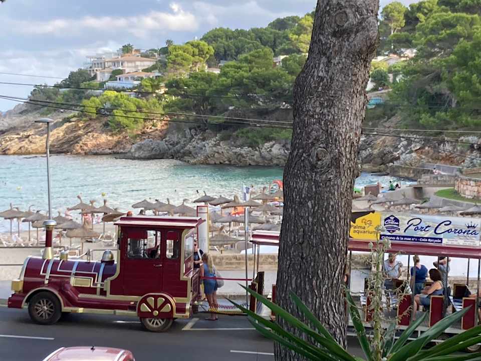 Ausblick Hotel Beach Club Font de Sa Cala
