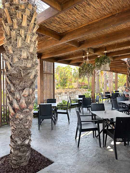 Gartenanlage Seaden Sea Planet Resort & Spa