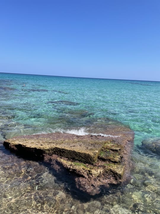 Strand Son Moll Sentits Hotel & Spa