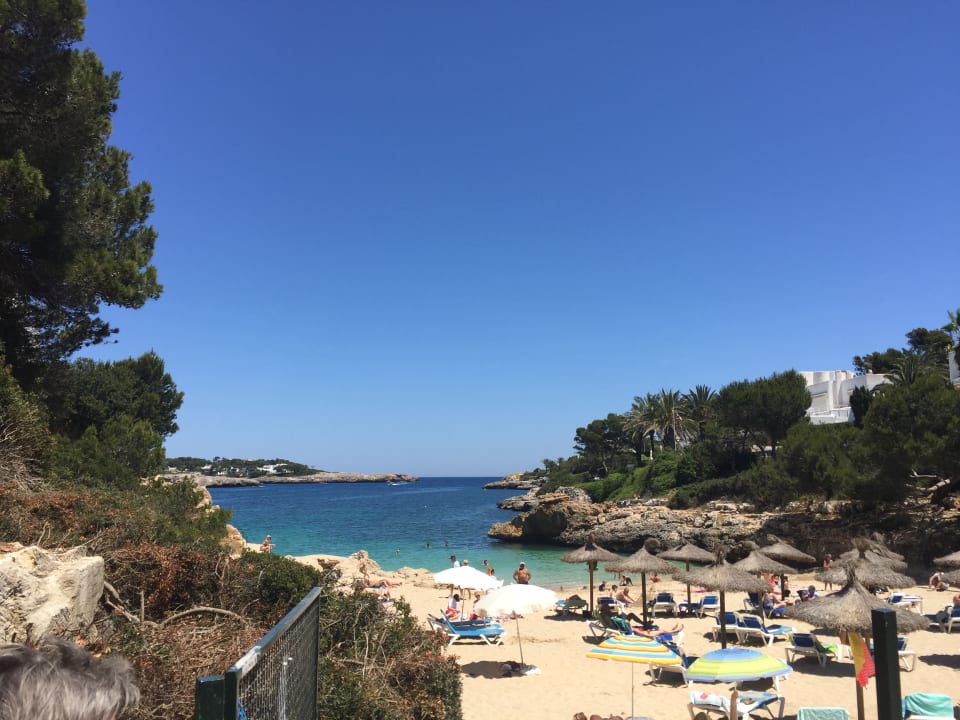  Strand Bei Tag Blue Sea Club Martha s Resort Cala D Or 