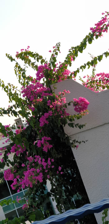 Garten Bodrum Holiday Resort & Spa