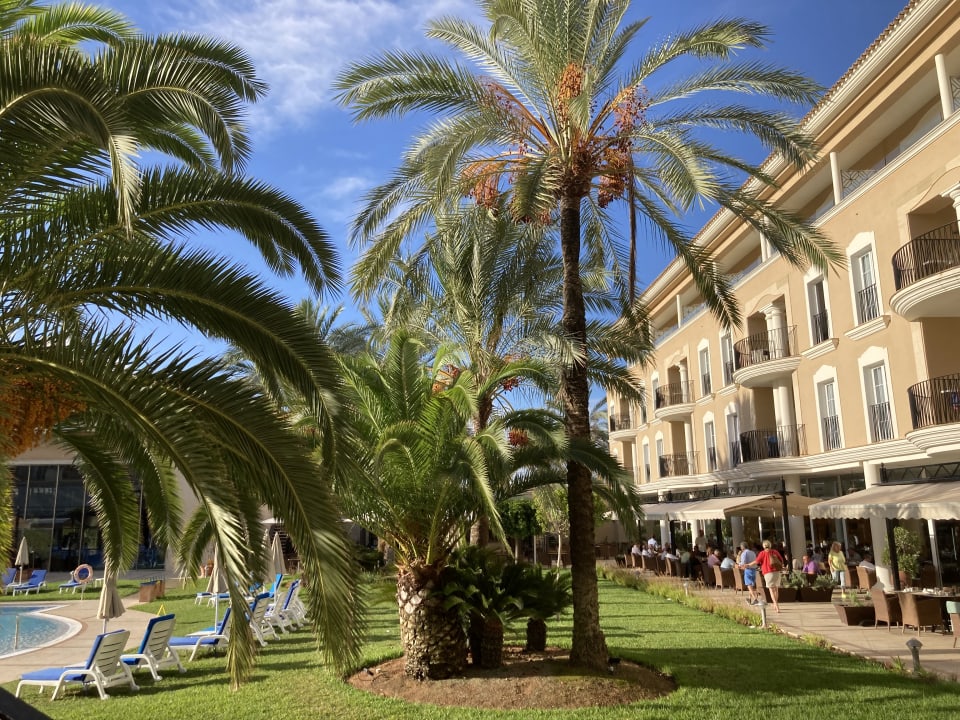 Gartenanlage Grupotel Playa de Palma Suites & Spa