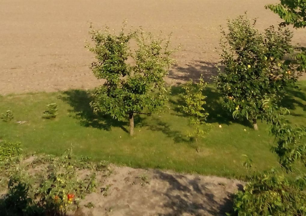  Ferienwohnung Gliese in Beeskow Ferienwohnung Gliese