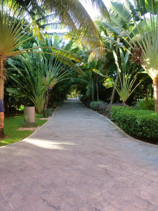 Weg zum Speisesaal Hotel Riu Tequila