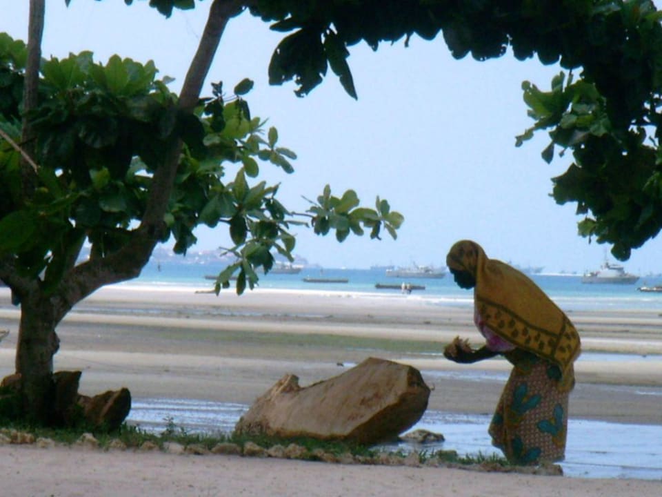 Davanti all'Imani Imani Beach Villa