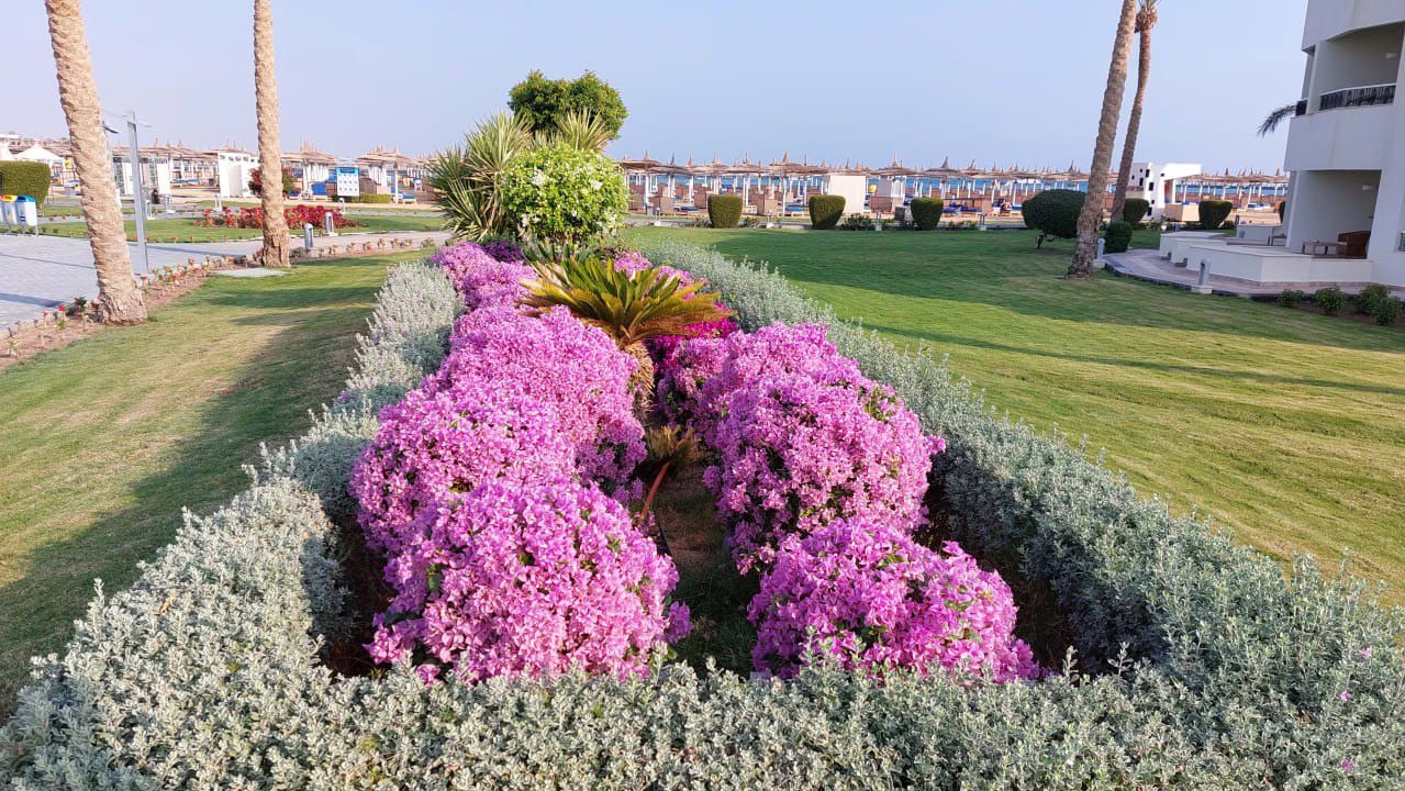 Gartenanlage Pickalbatros Dana Beach Resort - Hurghada