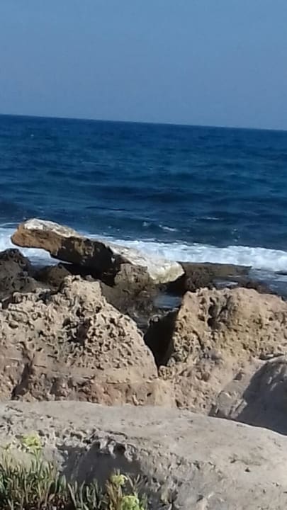 Strand Phãea Cretan Malia