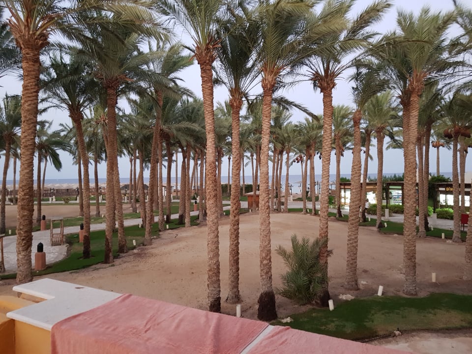Ausblick Grand Makadi