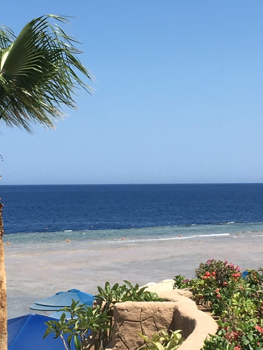 Strand Pickalbatros Palace Resort