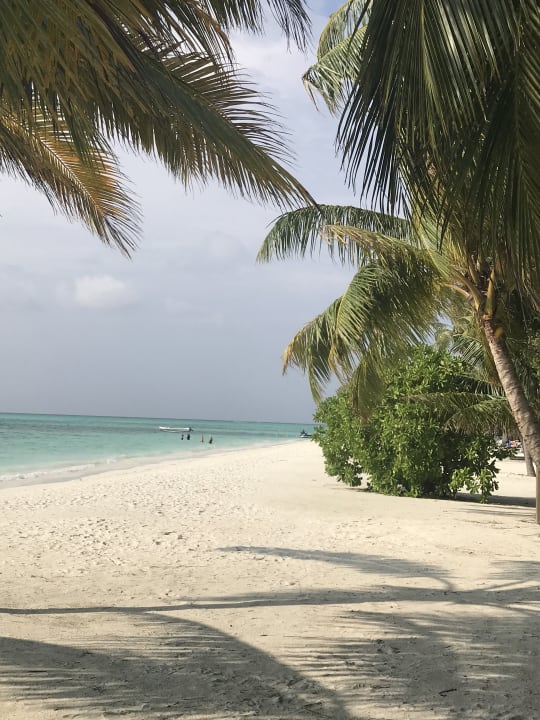 Strand Meeru Maldives Resort Island