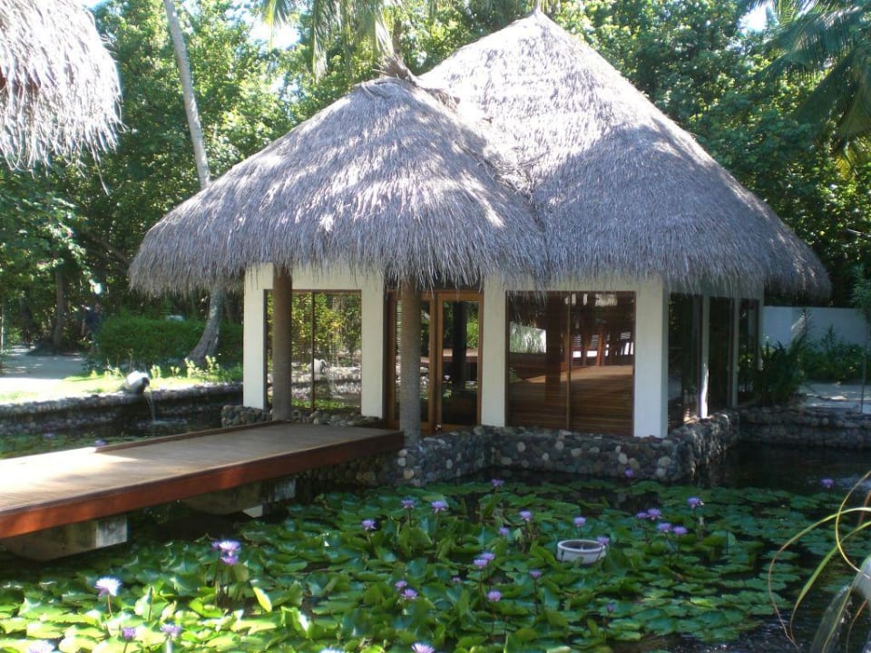 Bibliothek Filitheyo Island Resort