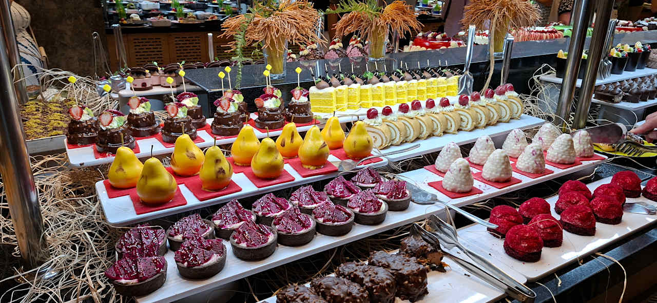 Gastro Seashell Vega