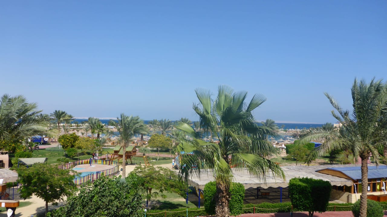 Zimmerausblick Desert Rose