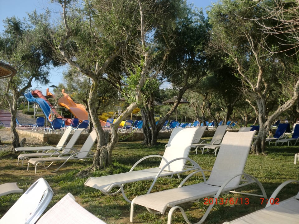 Plżowanie w gaju oliwnym Atlantica Eleon Grand Resort, Tragaki