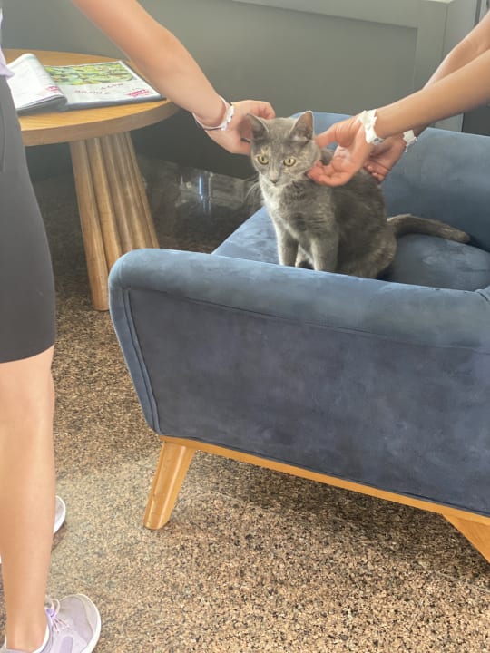 Sonstiges VONRESORT Golden Beach