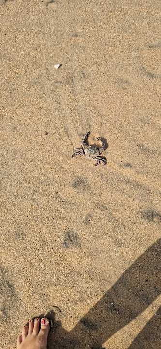 Strand Hotel Riu Baobab - All Inclusive