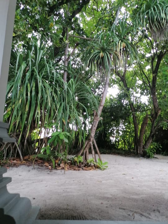 Gartenanlage NH Collection Maldives Reethi Resort