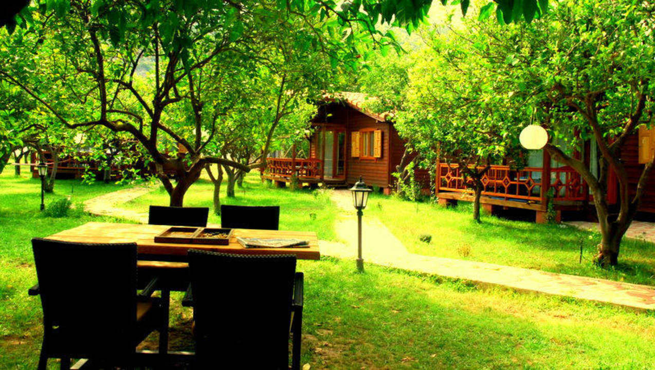 Baraka House  Guesthouse Baraka House