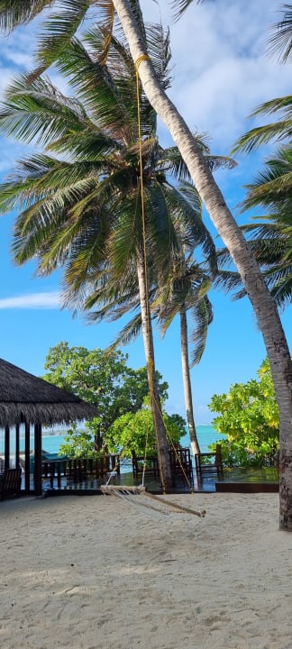 Sport & Freizeit Summer Island Maldives