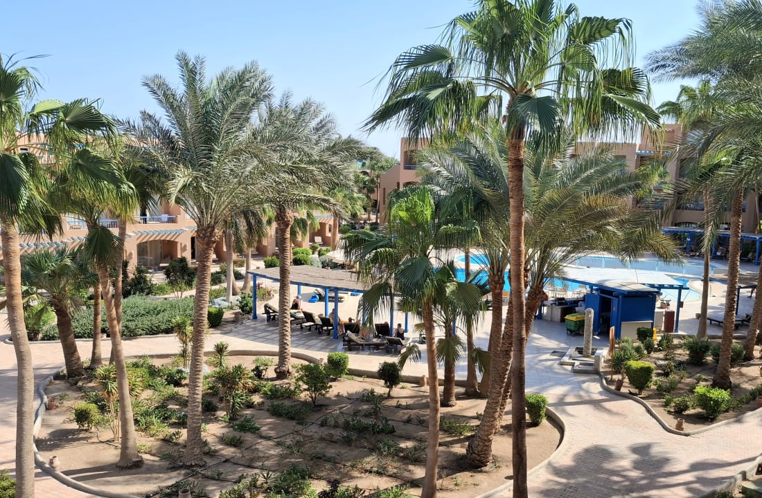 Pool Club Paradisio El Gouna, Red Sea