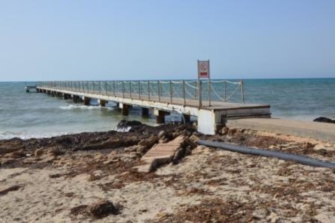 Strand - Seegras Hotel El Mouradi Djerba Menzel