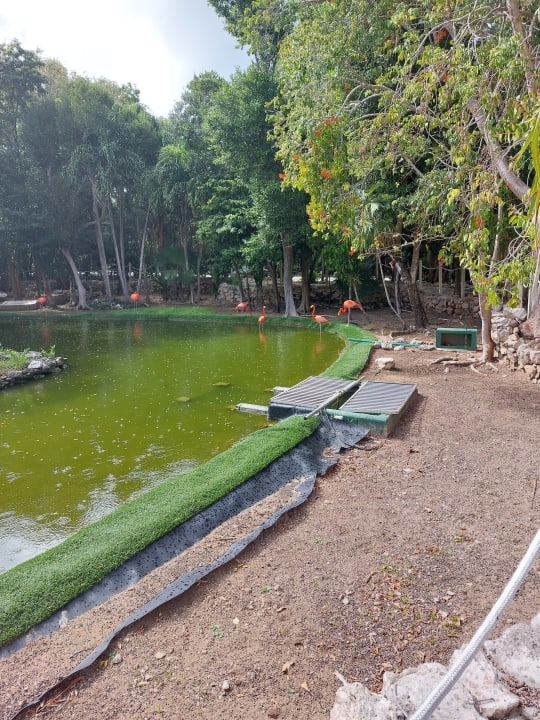 Außenansicht Akumal Bay Beach & Wellness Resort