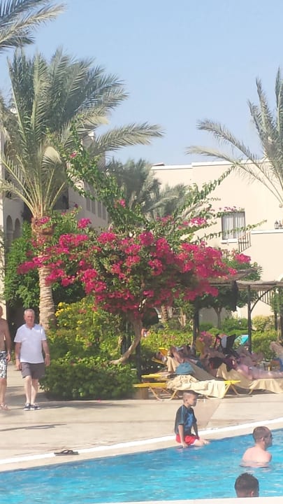 Pool Jaz Mirabel Park & Club