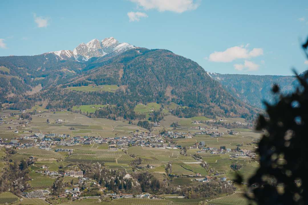 Zimmer Hotel Lisetta