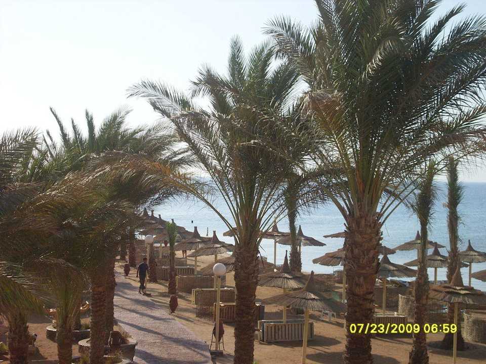 Weg zum rechten Steg Beach Albatros Resort