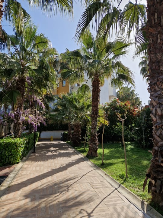 Gartenanlage Hane Family Resort