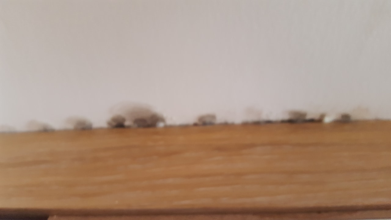 Sonstiges Castival Hotel