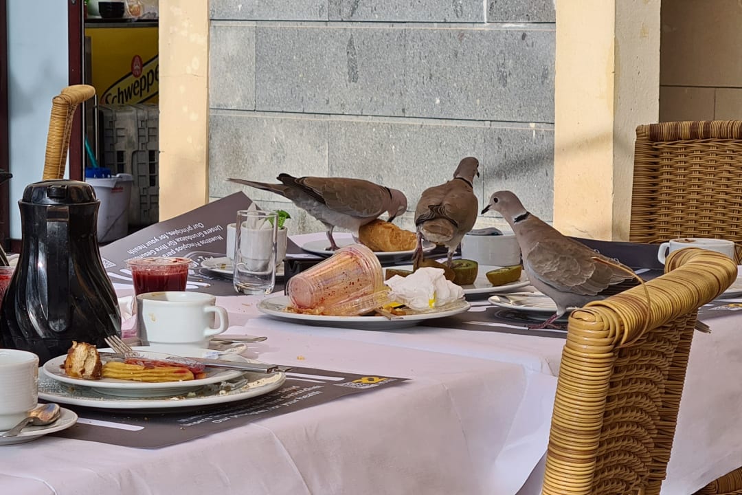 Gastro R2 Rio Calma Hotel & Spa & Conference