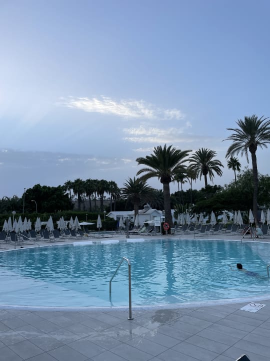 Pool Canary Garden Club