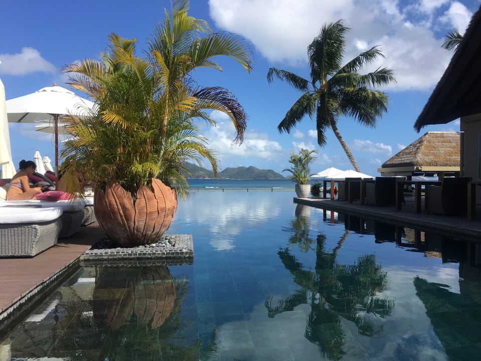 Pool Le Domaine de l'Orangeraie