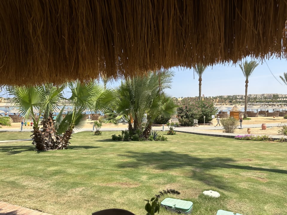 Gartenanlage Steigenberger Coraya Beach - Adults only